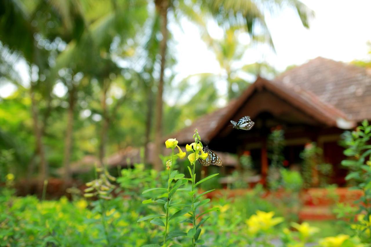 The Nattika Beach Resort Thrissur Exteriér fotografie