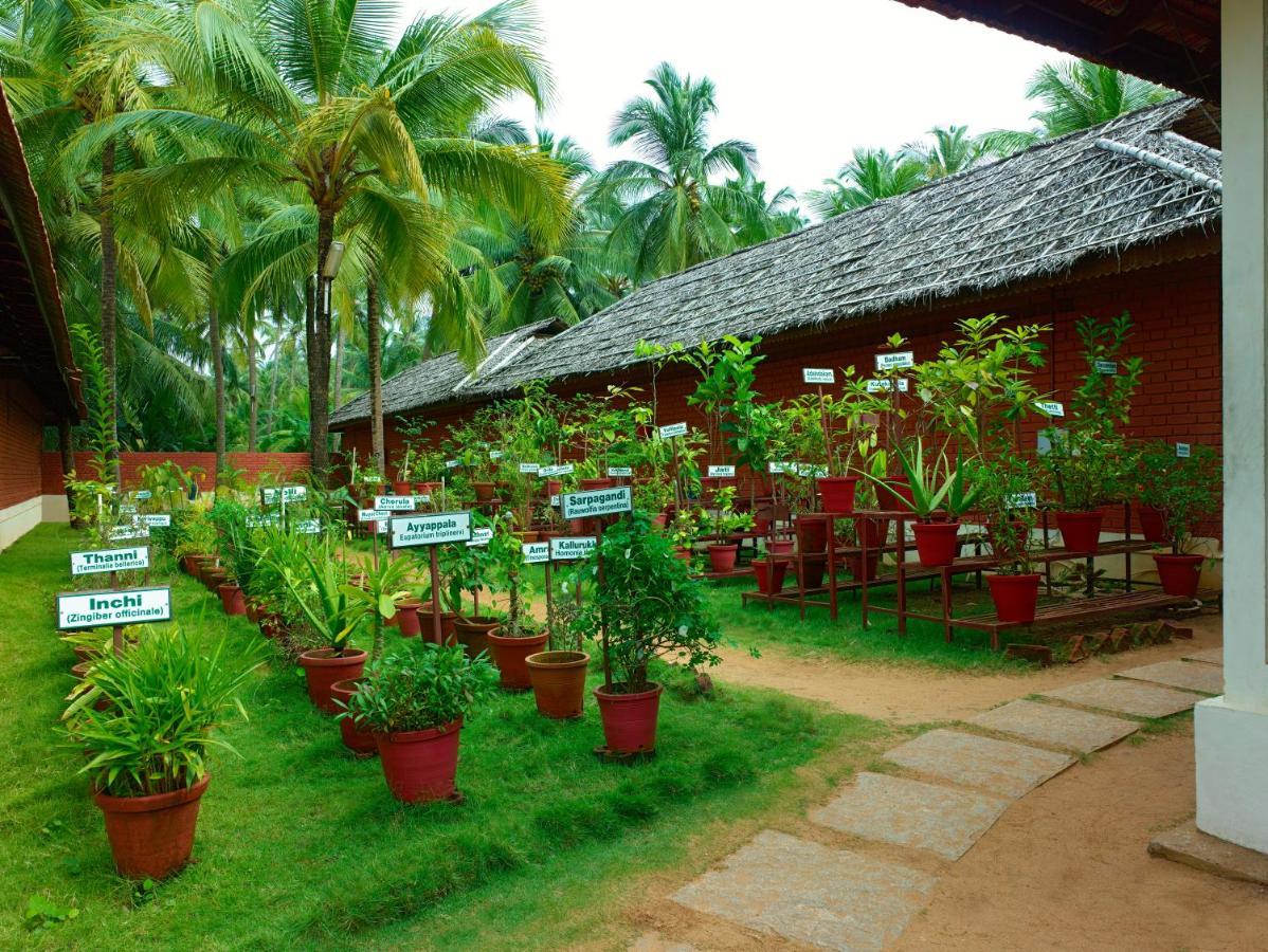 The Nattika Beach Resort Thrissur Exteriér fotografie